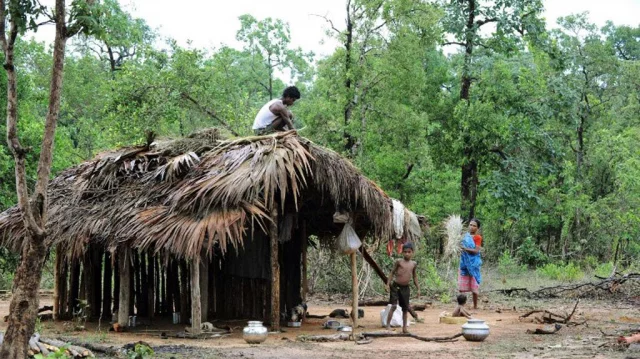 FOREST FRINGE COMMUNITIES